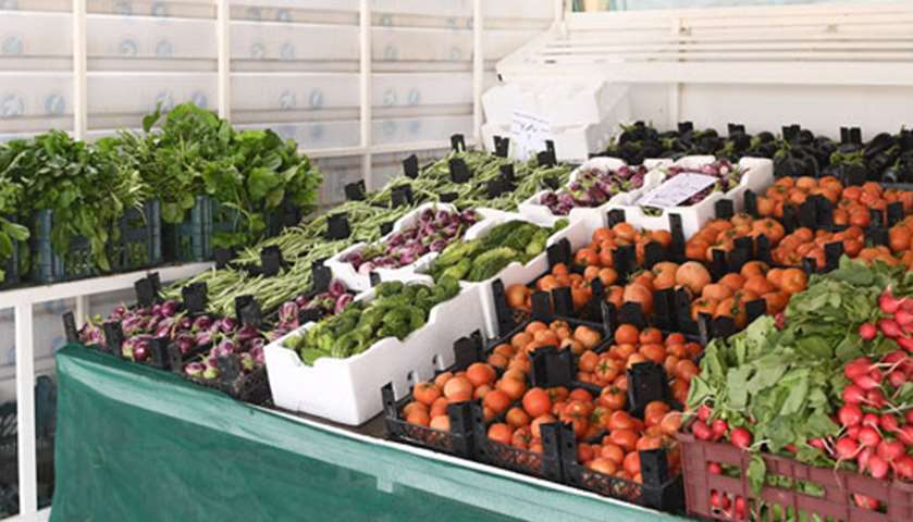 Agricultural products at Al Sheehaniya yard