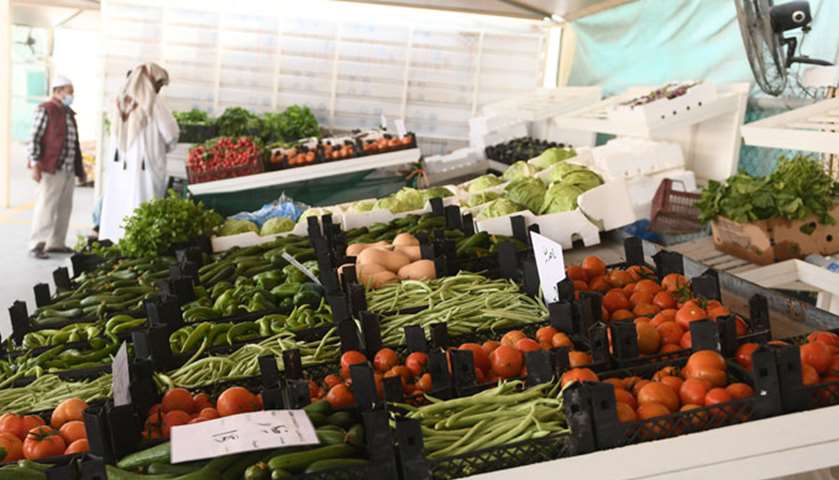 Agricultural products at Al Sheehaniya yard