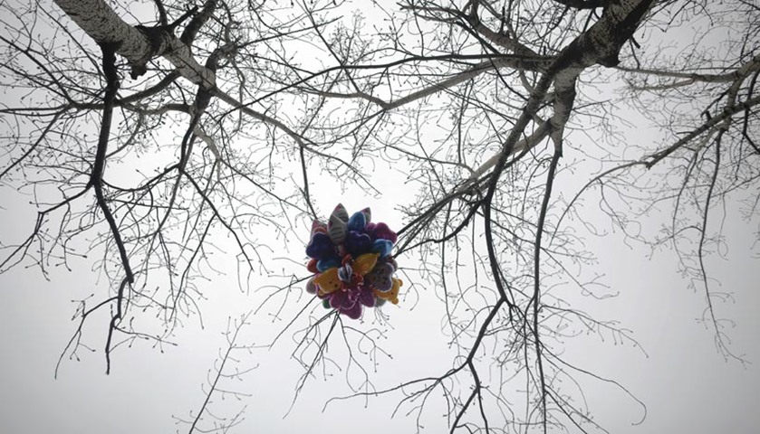 Balloons are stuck in a tree as the Lunar New Year is celebrated in Beijing