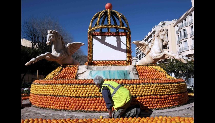 A worker puts the final touch to a replica of fountain made with lemons and oranges which shows a sc