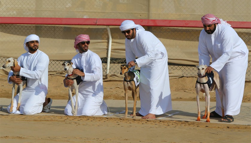 Emirati men wait with their Arabian saluki dogs for the start of the race, in Shweihan yesterday