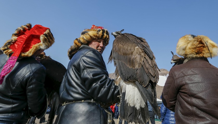 A hunter holding his tamed golden eagle looks back at a parade during the traditional hunting contes