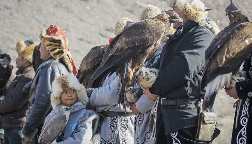 A young hunter holding his tamed hawk looks back at a parade during the traditional hunting contest