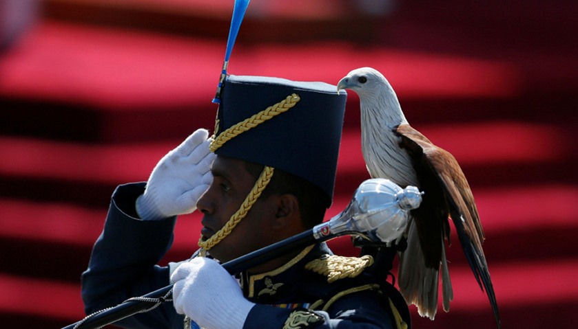 An Air Force soldier marches with an eagle on his shoulder, the symbol of Sri Lanka\'s Air Force