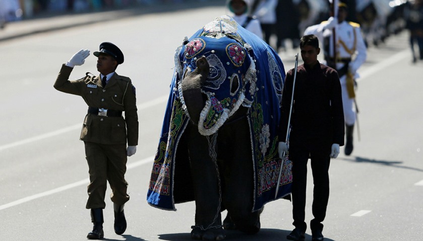Members of the Sri Lankan police march with an elephant during Independence day