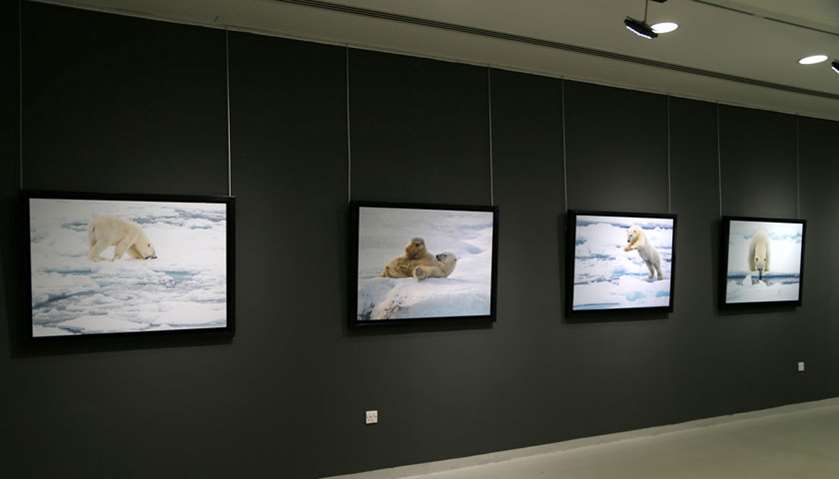 ‘Below Zero’ - Arctic photography exhibition at Katara