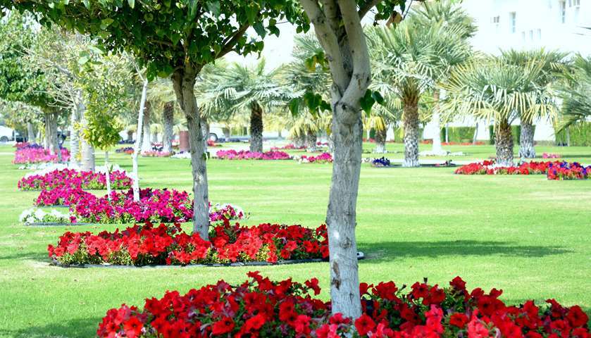 Qatar in winter ... a riot of colours