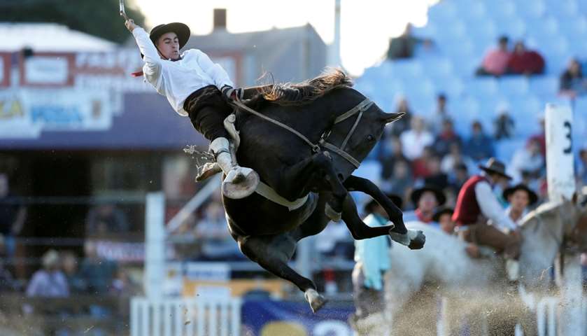 A gaucho rides an untamed horse