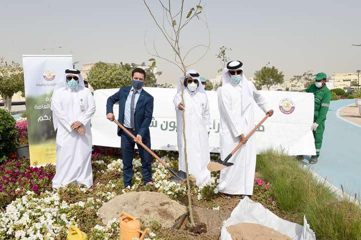 Ambassadors join tree-planting drive