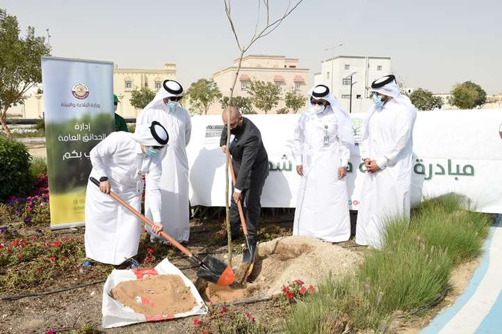 Ambassadors join tree-planting drive