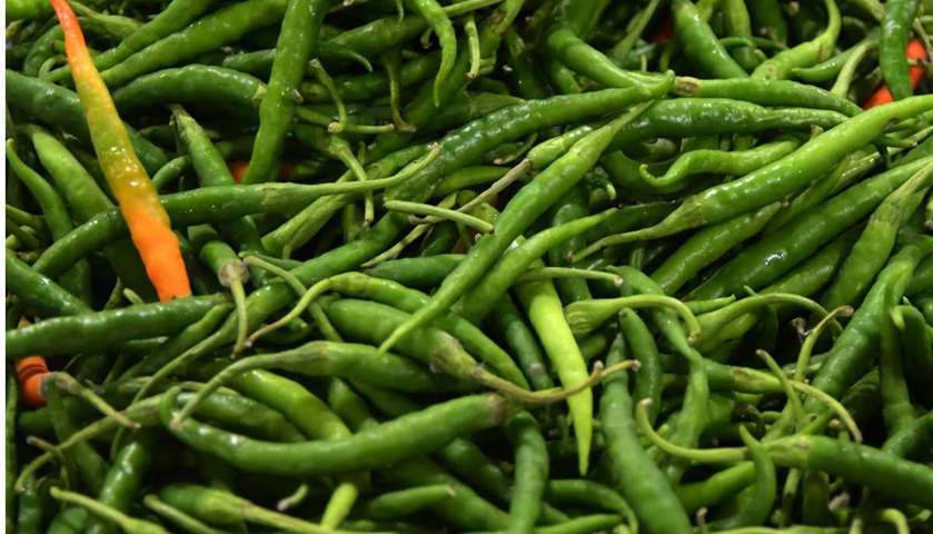 The fresh vegetable produce at Al Sailiya market