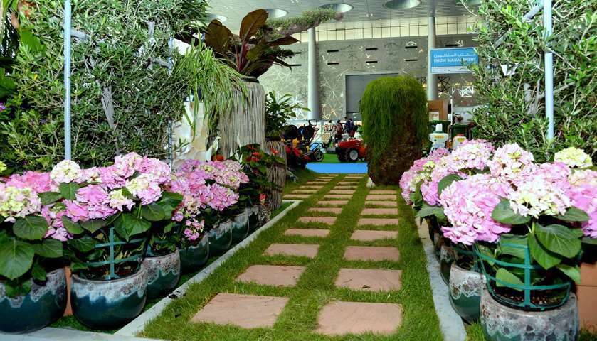 Green and natural delights from AgriteQ, EnviroteQ exhibitions. PICTURES: Thajudheen