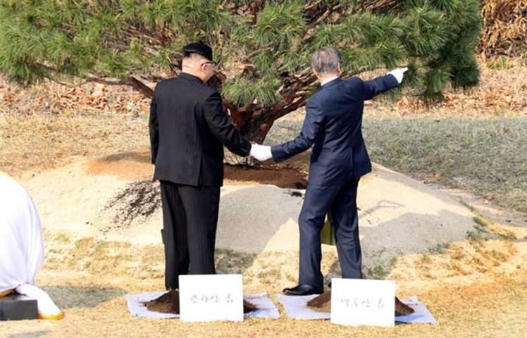 Moon Jae-in and Kim Jong Un plant a commemorative tree at the truce village of Panmunjom