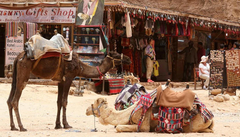 Camels are seem in front of a souvenirs shop in the ancient city of Petra in Jordan