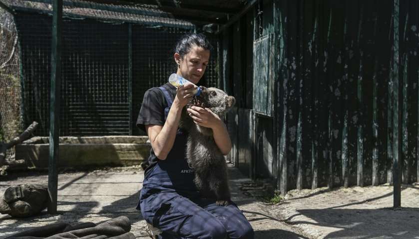 Melina Avgerinou feeds a bear cub called Luigi
