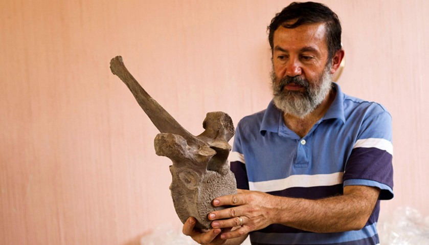 Mexican archaeologist Luis Cordoba shows a vertebra of the mammoth