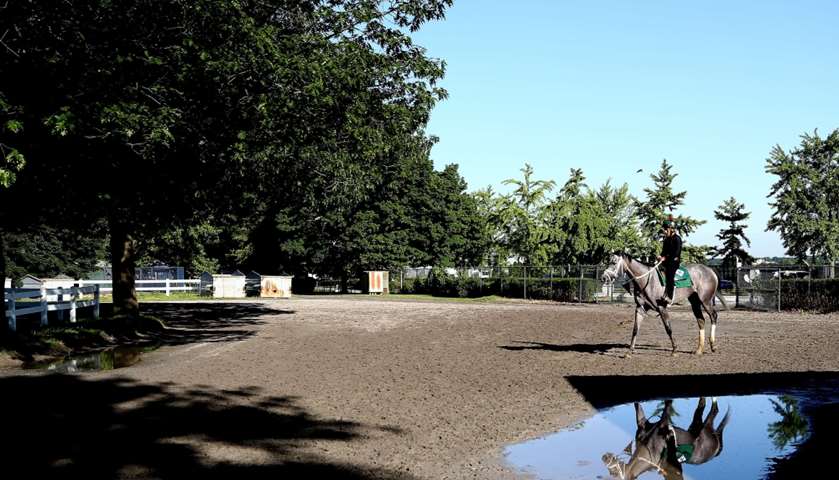 A horse and Exercise Rider leave the track after a training session
