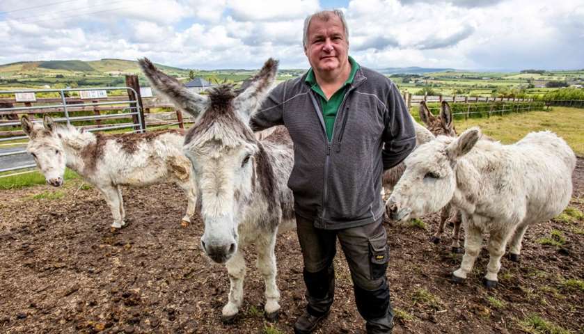 Donegal Donkey Sanctuary manager, Danny Curran poses with a rescue donkey 
