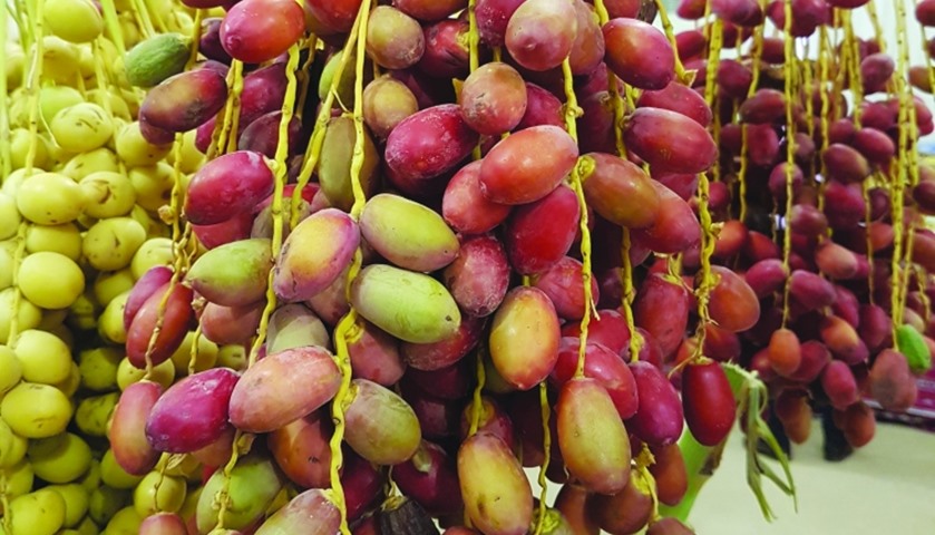Ministry of Municipality & Environment conducts studies to improve quality & quantity of local dates
