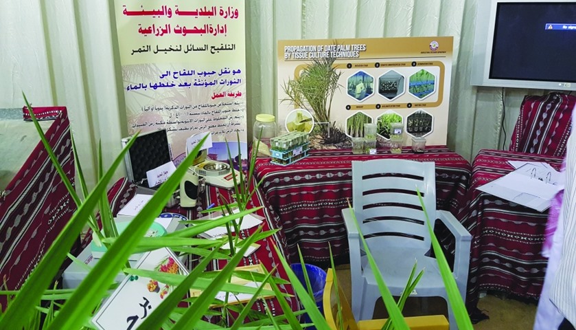 The ministry is also exhibiting research projects at the festival.