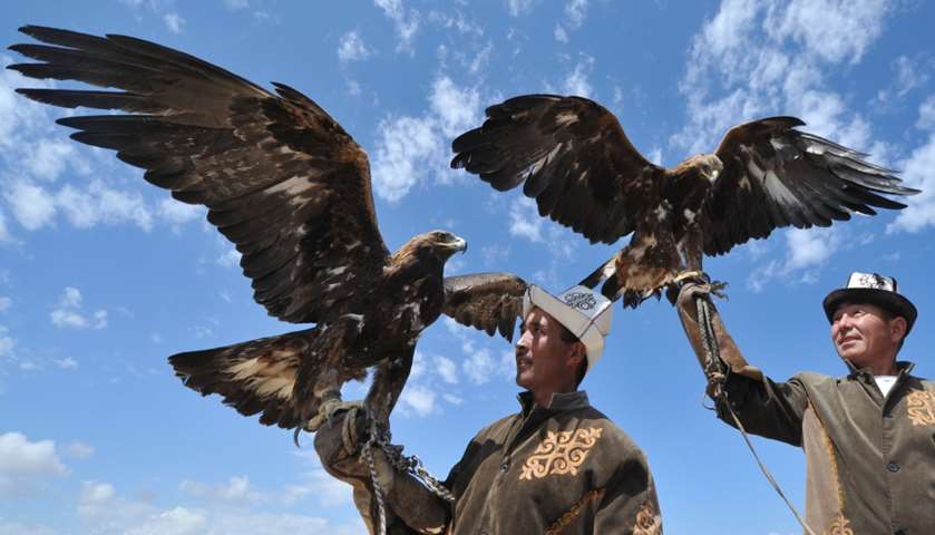Kyrgyz berkutchy (eagle hunters) launch their birds