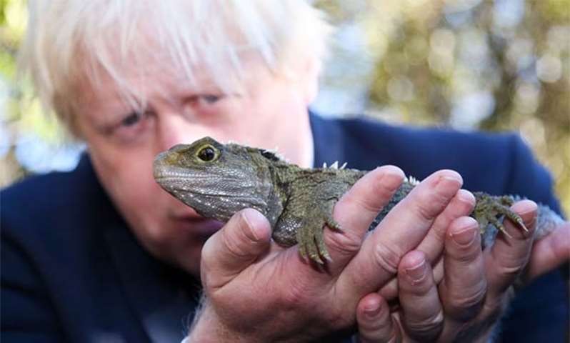 Boris Johnson holds a tuatara lizard during a visit to Zealandia wildlife sanctuary in Wellington