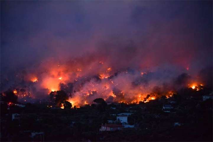 Flames rise as a wildfire burns in the town of Rafina, near Athens