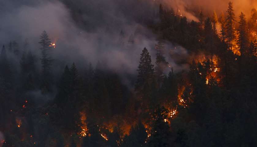 Forest burns in the Carr Fire west of Redding, California