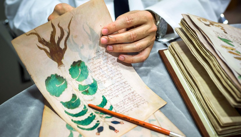 Cloning the illustrated codex hand-written manuscript Voynich in Burgos