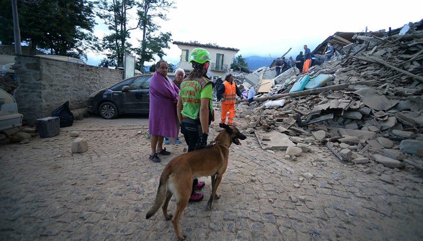 Rescuers, with the help of a dog, search for victims in damaged buildings
