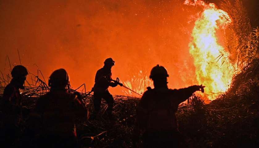Portugal battles multiple forest fires