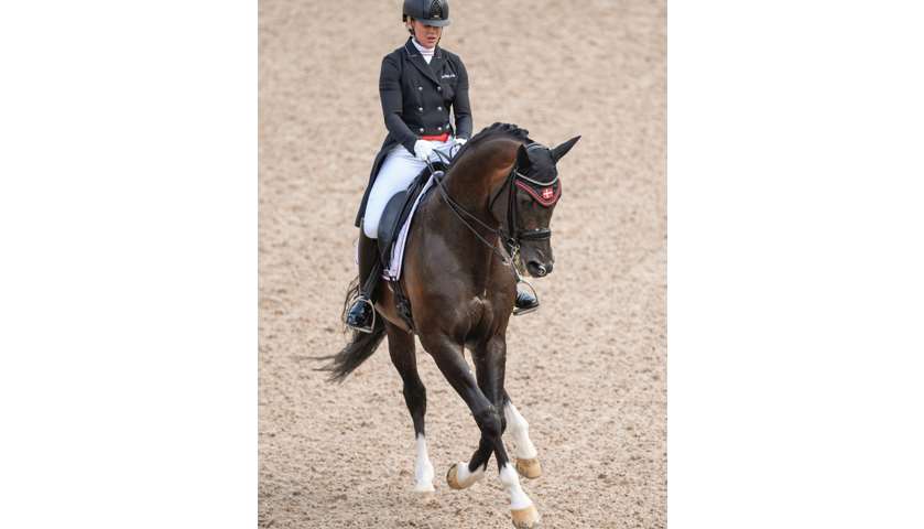 Anna Zibrandtsen of Denmark competes on her horse Arlando.