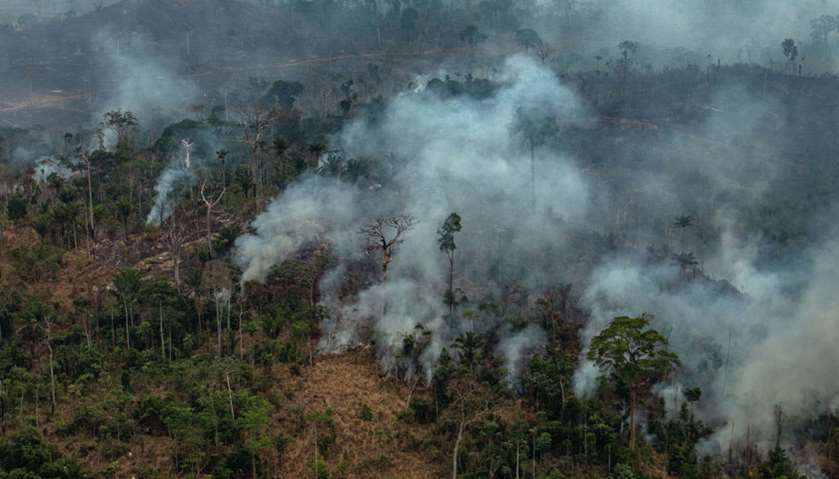 smoke billowing from fires in the forest in the Amazon biome in the municipality of Altamira