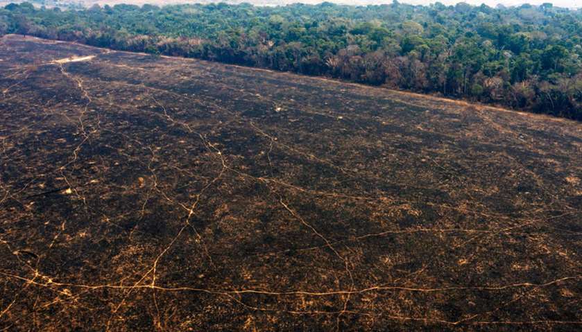Aerial view of burnt areas of the Amazon rainforest, near Porto Velho