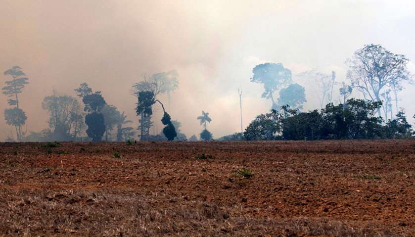 A smoke cloud is seen over a burnt area after a fire in the Amazon rainforest, in Novo Progresso