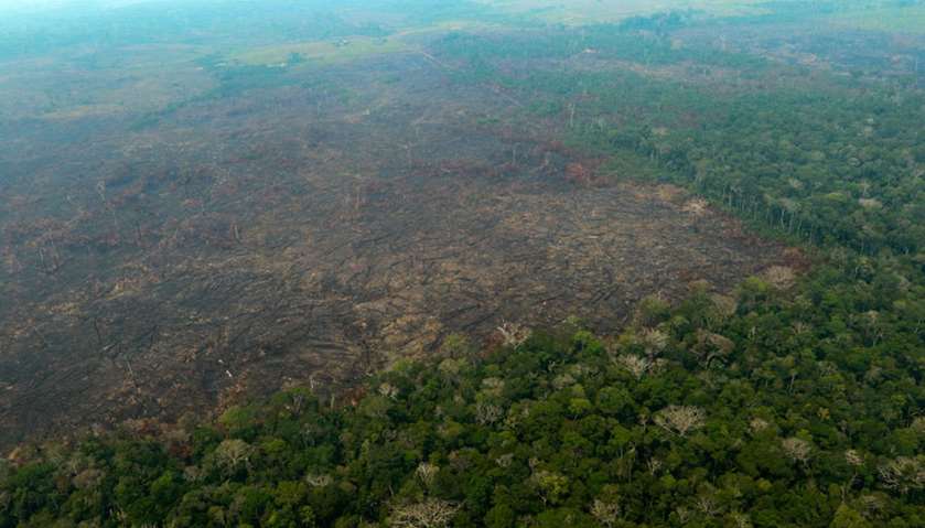 Aerial view of burnt areas of the Amazon rainforest, near Boca do Acre