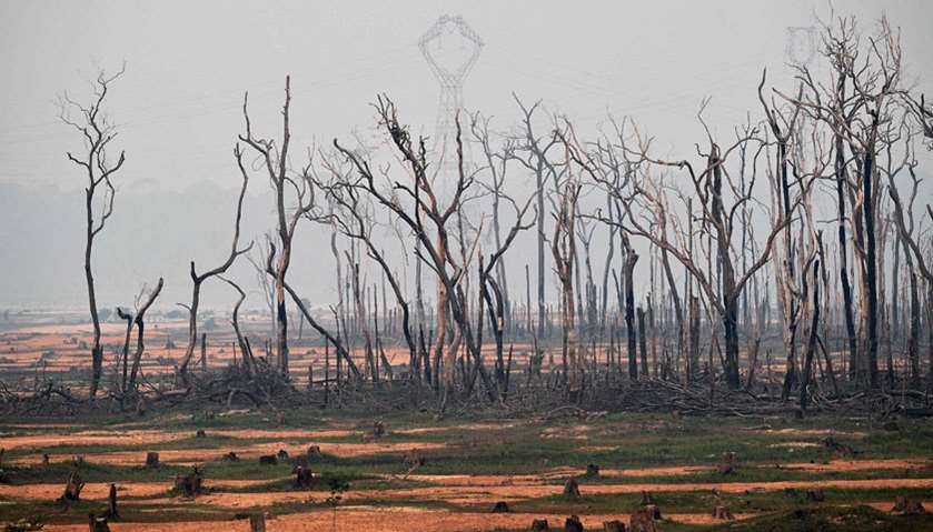 View of burnt areas of the Amazon rainforest, near Abuna, Rondonia state, Brazil