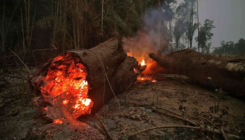 View of fire in the Amazon rainforest, near Abuna, Rondonia state, Brazil