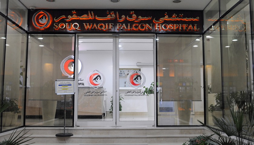 Falcon Hospital in Souq Waqif
