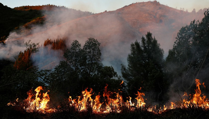 Loma Prieta Fire near Santa Cruz