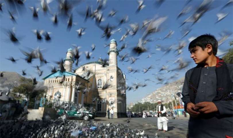 Pigeons fly outside the Shah-e Doh Shamshira Mosque in Kabul on the first day of Eid al-Adha
