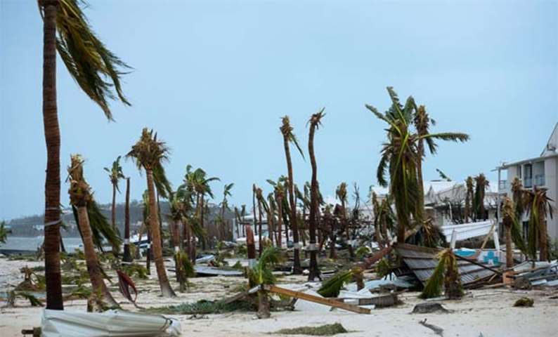Broken palm trees on the beach of Hotel Mercure in Marigot are seen on the island of Saint Martin