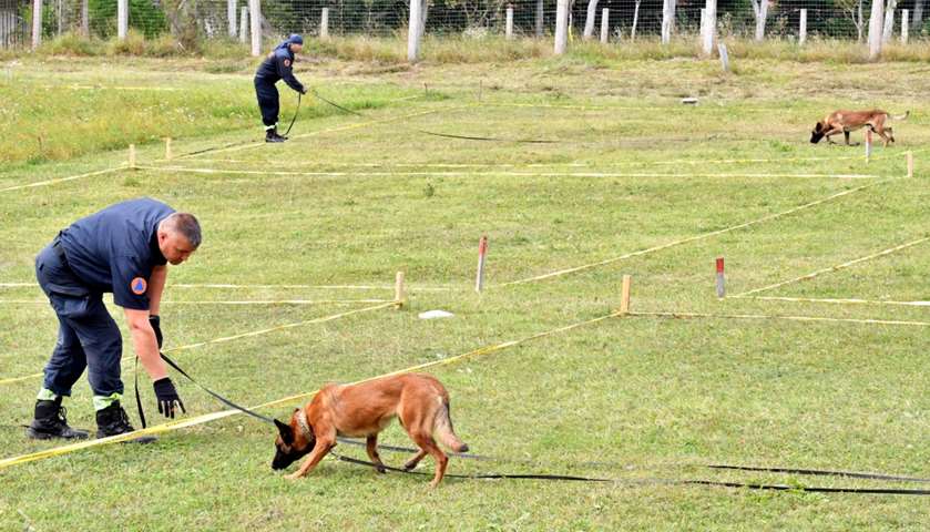 Civilian protection officers train their dog to work in a simulated mine field