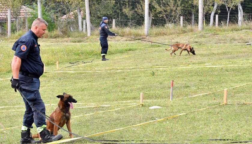 Civilian protection officers train their dog to work in a simulated mine field in Konjic