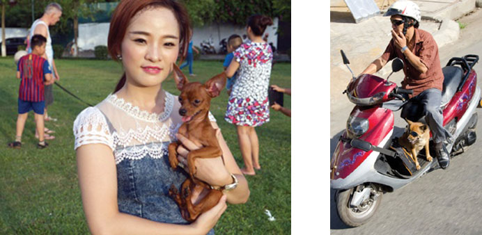 A woman with her pet dog at a park in Hanoiu2019s affluent Tay Ho district. Right: A pet dog takes a ride in Saigon.