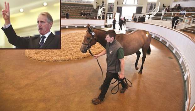 A horse being paraded in the auction ring at the Tattersalls Bloodstock Auction in Newmarket, north of London, during last week's auction.  (Top left) Tattersalls chairman Edmond Mahony the Irishman, who has been chairman of Europeu2019s leading bloodstock auction house for 23 years, expects the positive fallout from the poundu2019s decline from his companyu2019s point of view to be felt most u2014 come the December breeding stock sales.