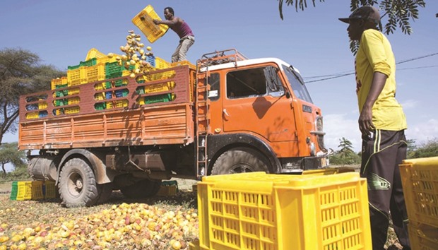 Workers of Africa Juice toss fruit damaged by protesters near Alaga Dore.