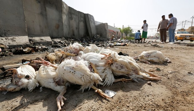 Dead chickens are seen at the site of a suicide bomb attack in the Amil district of southern Baghdad