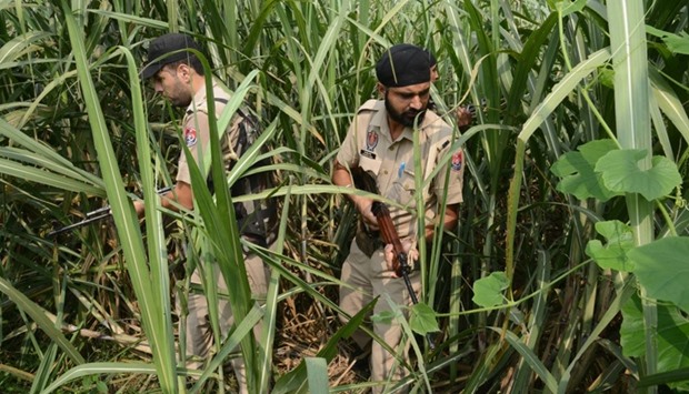 Indian Punjab policemen take part in search operations in a sugar cane field near the Indian-Pakistan border Chakri post, about 20km from Gurdaspur