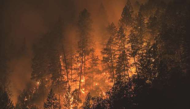 A wildfire creeps through the forest, down the south side of Dry Creek Canyon, west of Napa, California.